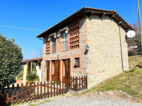 Casa Pozzi Capannori